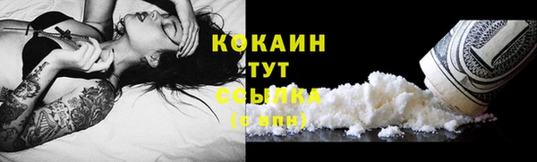 стафф Богородицк