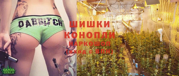 стафф Богородицк