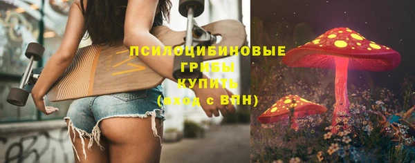 стафф Богородицк